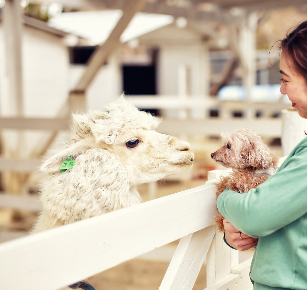 のじまスコーラ動物園