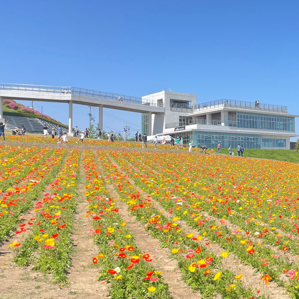 淡路島おしゃれ観光 写真映えもばっちり おすすめ日帰り旅