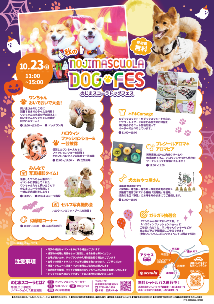 ハロウィンワンちゃんオーダー受付 色めい
